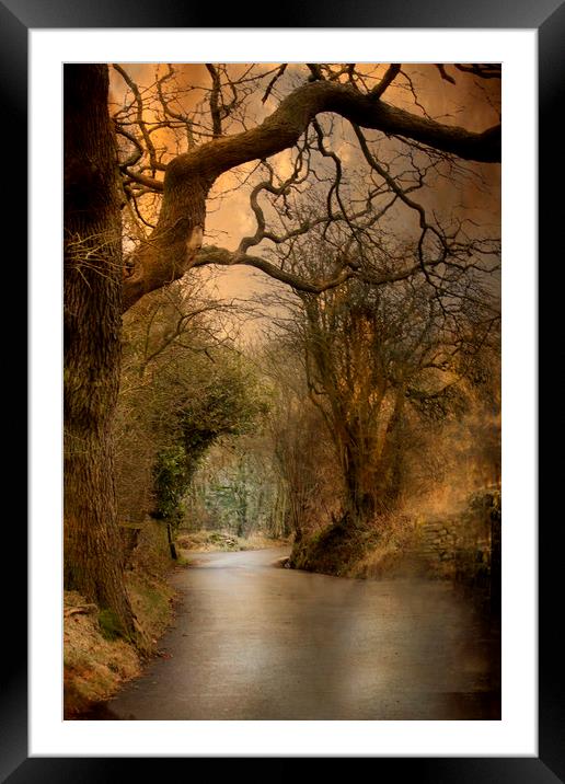 A Country Lane Framed Mounted Print by Irene Burdell