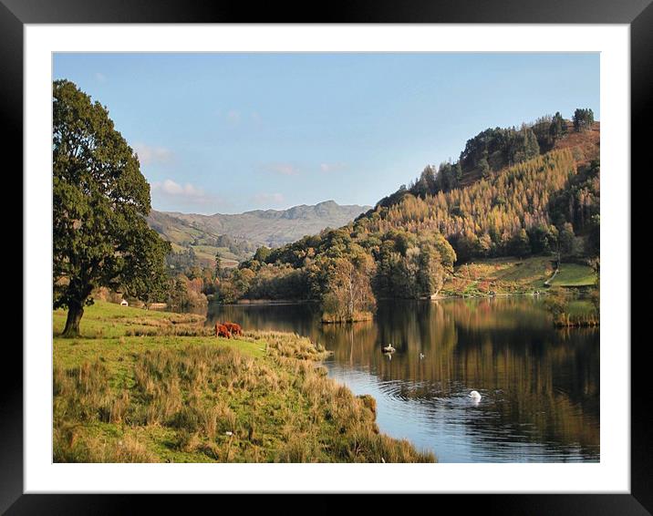 Autumn Rydal Water Framed Mounted Print by Irene Burdell