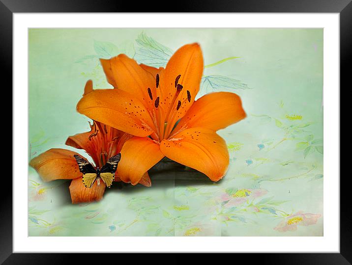 Lilies and butterfly . Framed Mounted Print by Irene Burdell