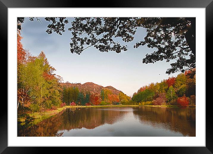 Autumn Refections  Framed Mounted Print by Irene Burdell