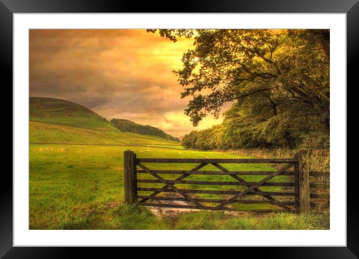 The Five Barred Gate  Framed Mounted Print by Irene Burdell