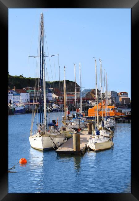 Whitby Yorkshire UK Framed Print by Irene Burdell