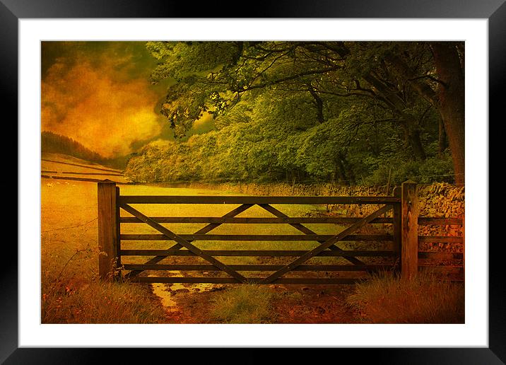 The Gate . Framed Mounted Print by Irene Burdell