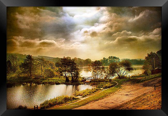 The Lake Framed Print by Irene Burdell