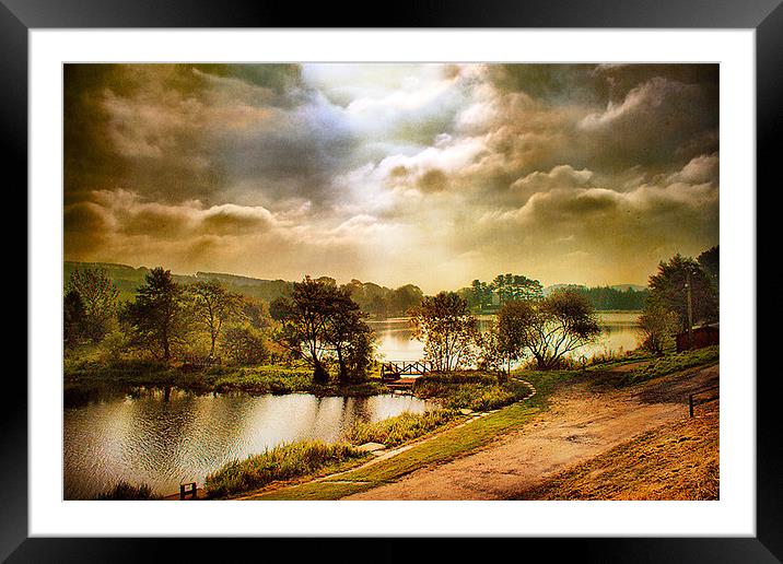 The Lake Framed Mounted Print by Irene Burdell