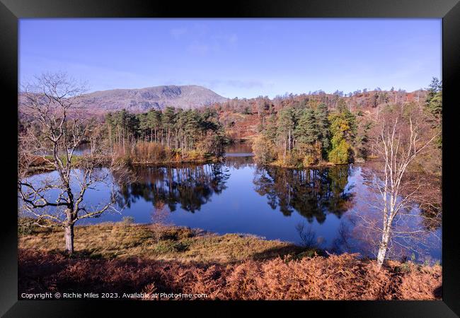 View of Tarn Howes with reflection in water Framed Print by Richie Miles
