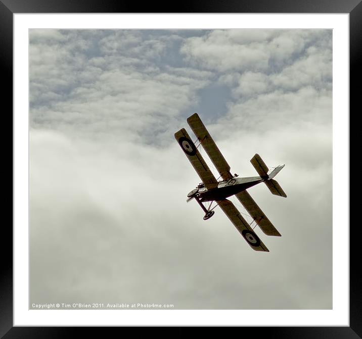 Sopwith Camel Framed Mounted Print by Tim O'Brien