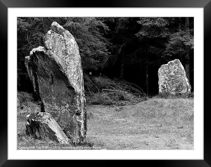 Standing Stones at Black Park Framed Mounted Print by Tim O'Brien