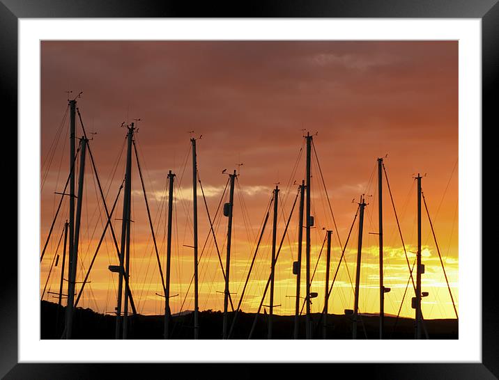 Sunset Silhouetting Masts of Yachts Framed Mounted Print by Tim O'Brien