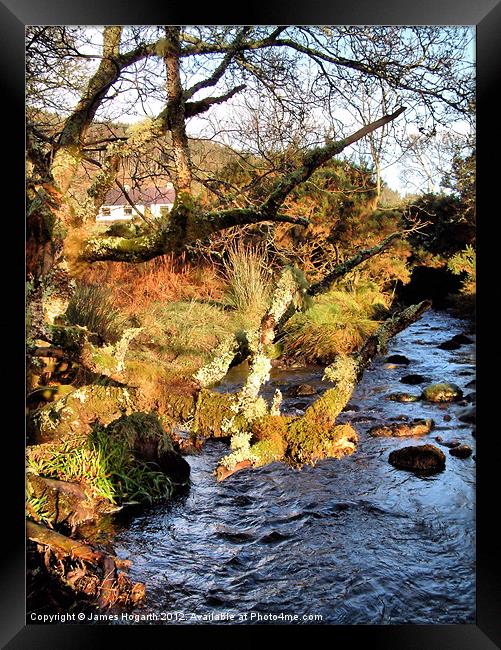 A Kintyre Cottage Framed Print by James Hogarth