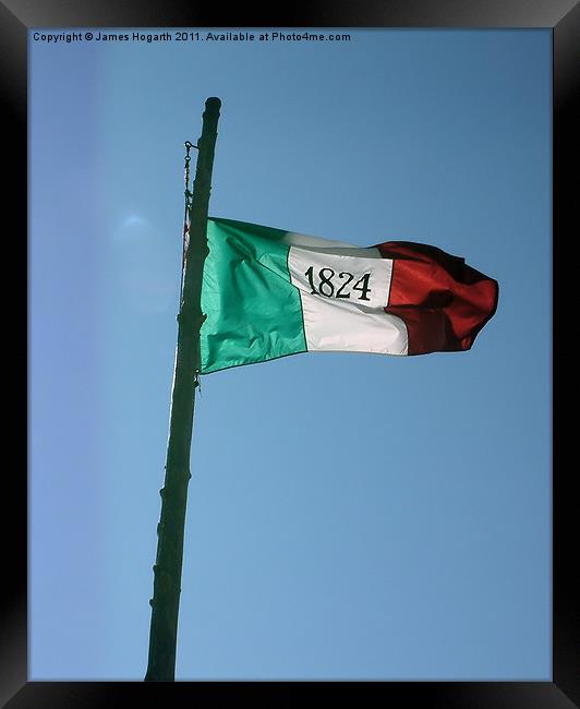 The Alamo Flag Framed Print by James Hogarth