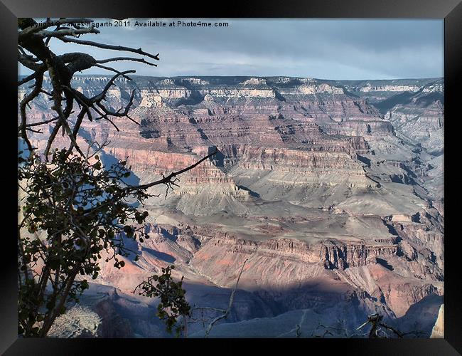Grand Canyon Layers Framed Print by James Hogarth