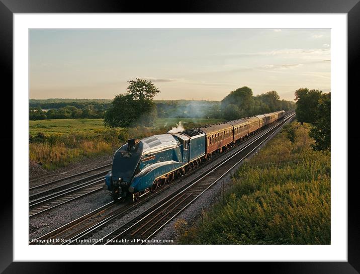 The Dorset Coast Express Framed Mounted Print by Steve Liptrot