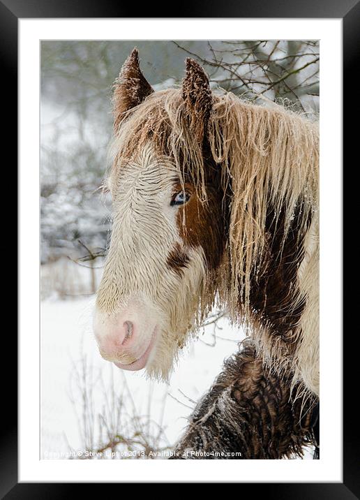 Winter Horse Framed Mounted Print by Steve Liptrot