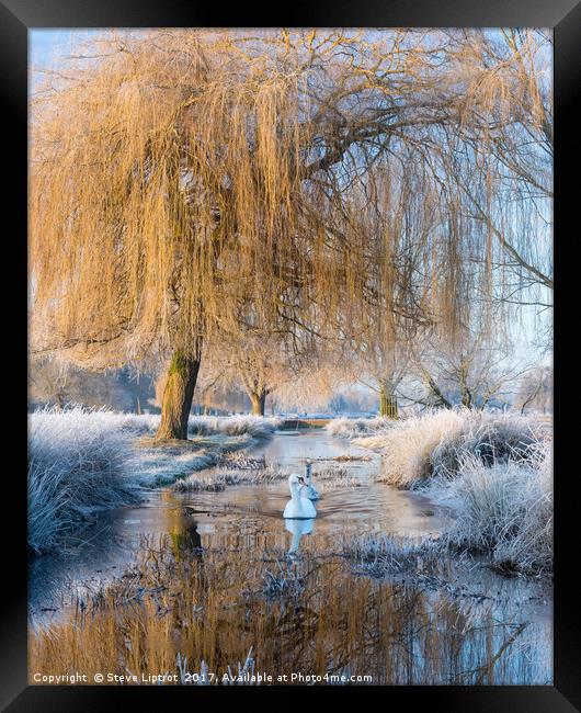 Winter in Bushy Park Framed Print by Steve Liptrot