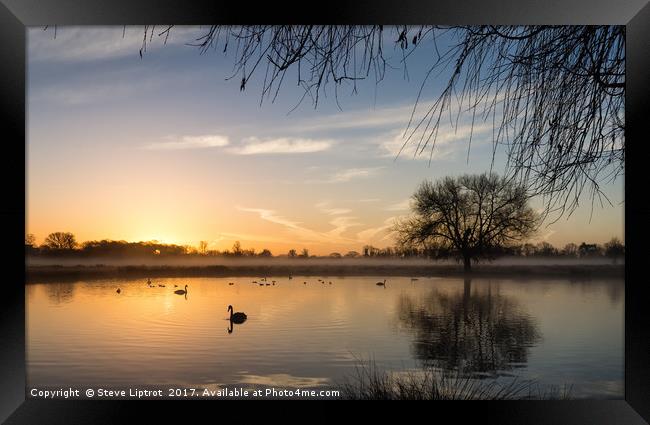 Sunrise at Bushy Park Framed Print by Steve Liptrot