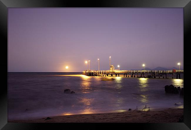 Palm Cove Jetty Framed Print by David McLean