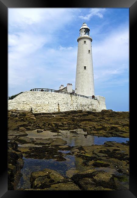 St. Mary's Lighthouse Framed Print by Kevin Tate