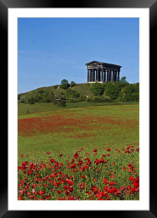 Penshaw Monument Poppies Framed Mounted Print by Kevin Tate