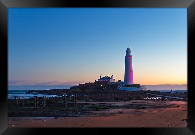 St Marys Lighthouse in Pink Framed Print by Kevin Tate
