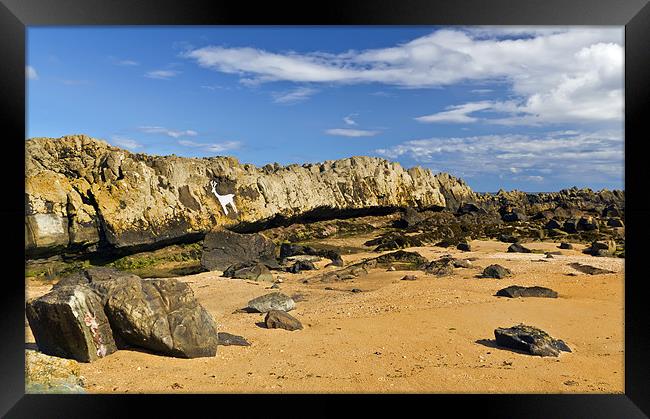 Stag Rock Beach Framed Print by Kevin Tate