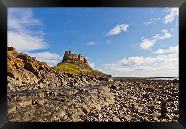 Lindisfarne Castle viewed from the shoreline. Framed Print by Kevin Tate