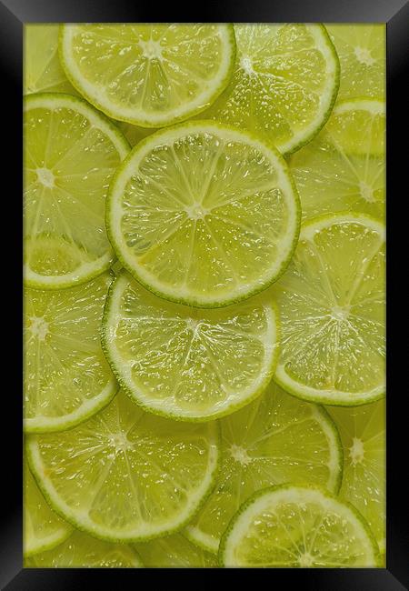 Lime Slice Framed Print by Kevin Tate