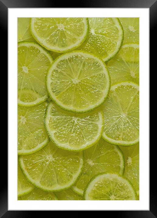 Lime Slice Framed Mounted Print by Kevin Tate