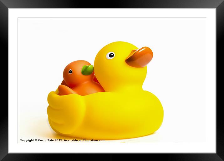 Rubber Ducks Framed Mounted Print by Kevin Tate