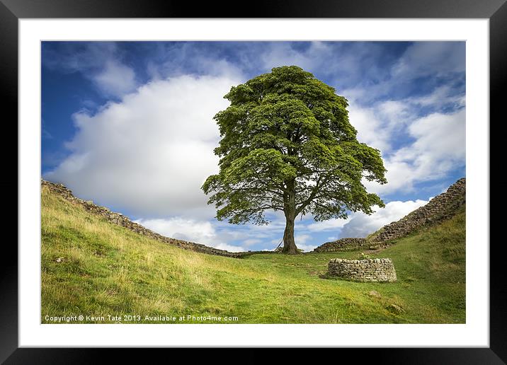 Sycamore Gap (the 