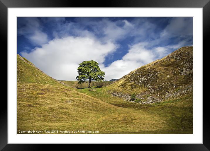 Sycamore Gap (the 