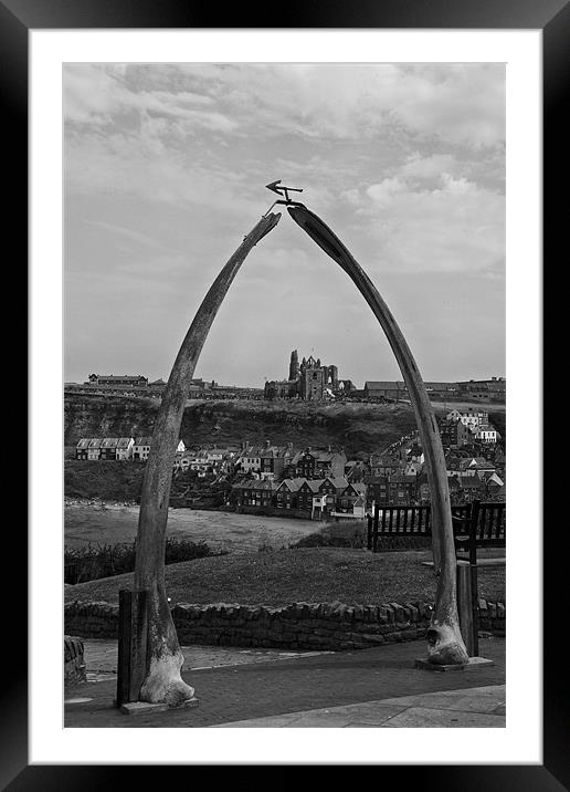 whitby whale bones Framed Mounted Print by Northeast Images