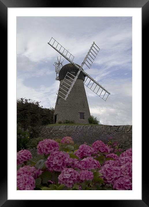 whitburn windmill 2 Framed Mounted Print by Northeast Images