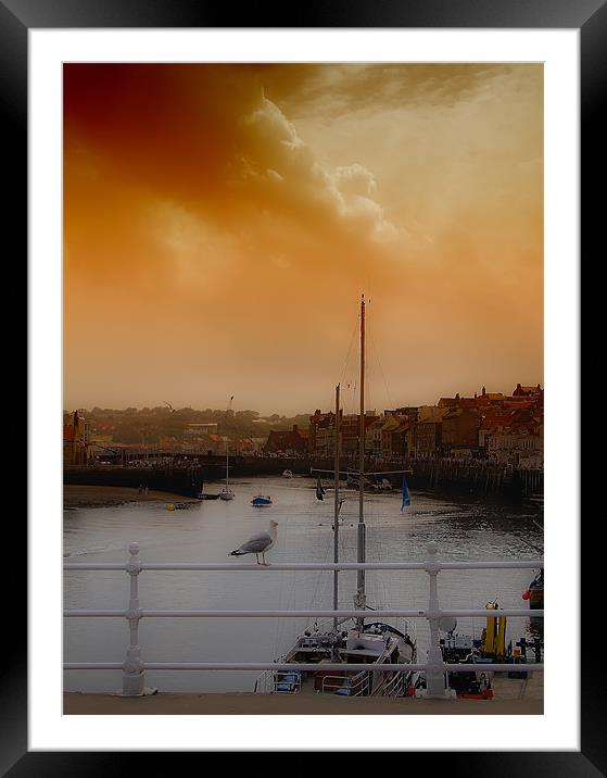 whitby harbour Framed Mounted Print by Northeast Images