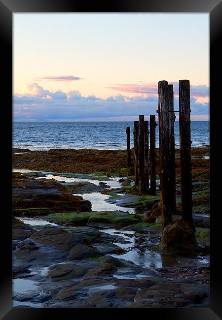 st mary`s groyne Framed Print by Northeast Images
