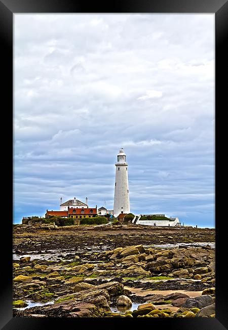 st mary`s lighthouse Framed Print by Northeast Images