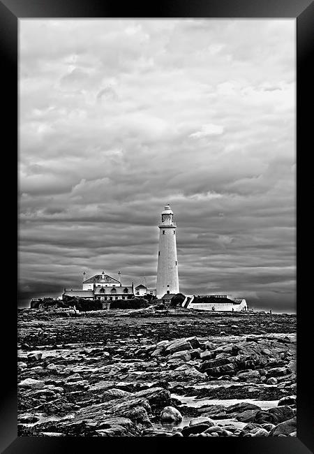 st mary`s lighthouse. Framed Print by Northeast Images