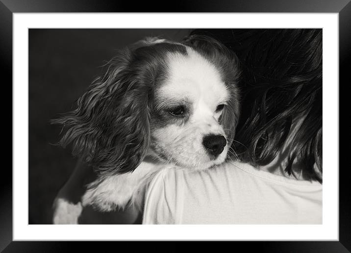 puppy love Framed Mounted Print by Northeast Images