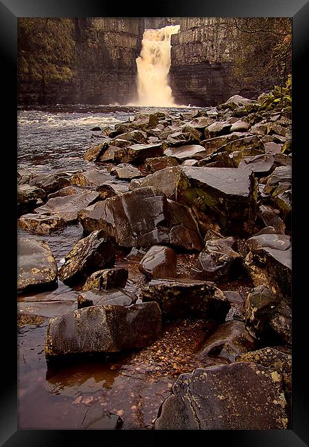 may the force be with you Framed Print by Northeast Images