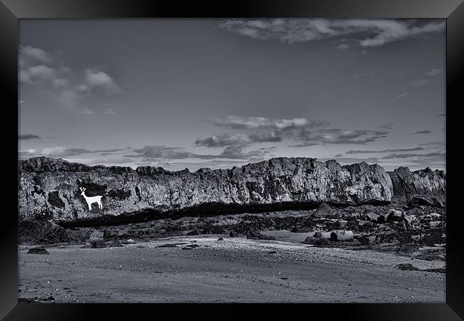 stag rock Framed Print by Northeast Images