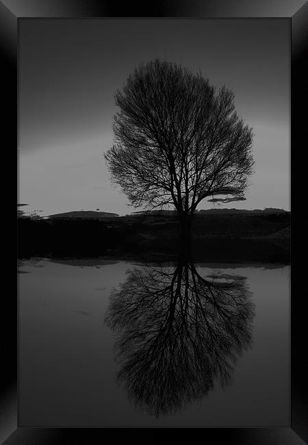 winter reflections Framed Print by Northeast Images