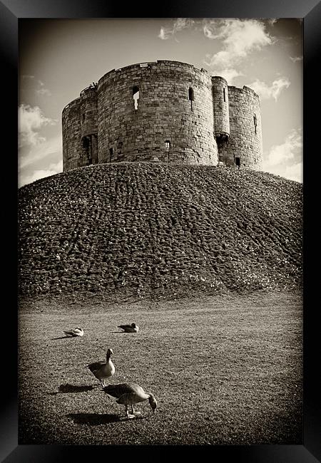 York Castle Framed Print by Northeast Images