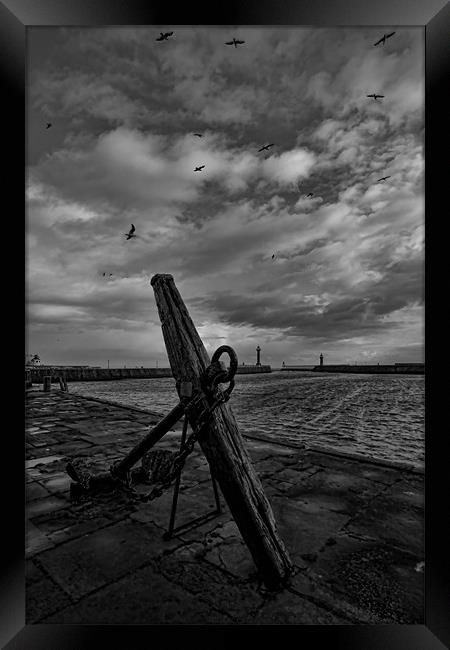 Whitby Anchor Framed Print by Northeast Images