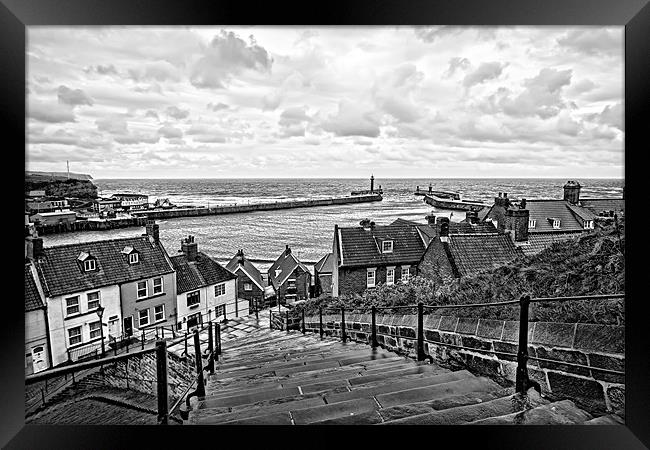 whitby steps Framed Print by Northeast Images