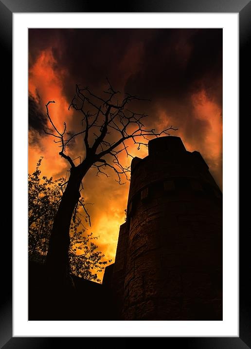 sunset silhouette Framed Mounted Print by Northeast Images