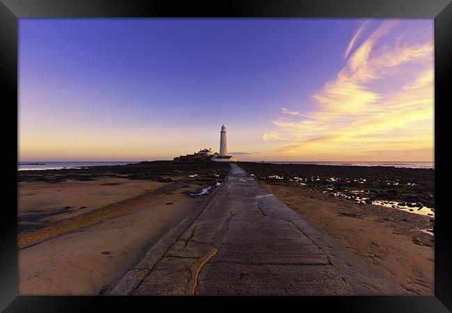 St Mary`s lighthouse Framed Print by Northeast Images