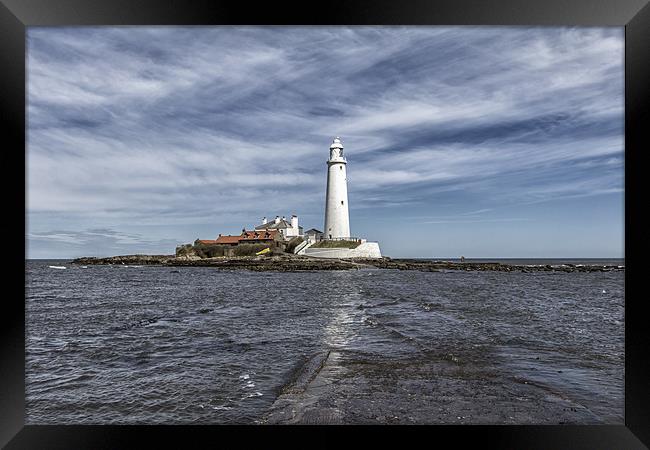 St Mary`s Lighthouse Framed Print by Northeast Images