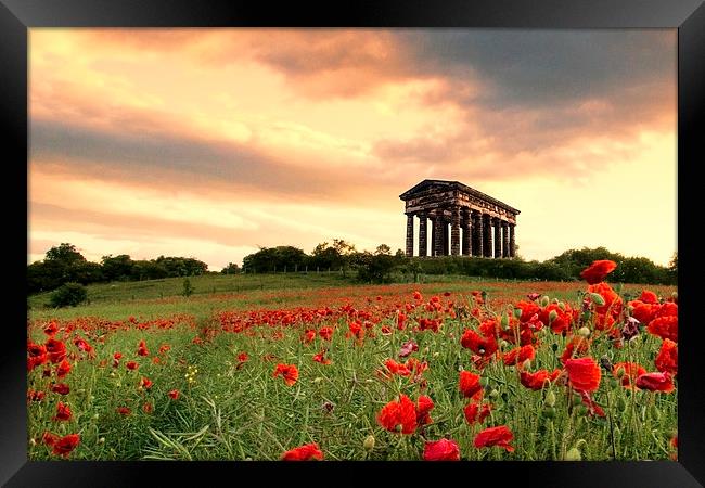 Penshaw Monument Framed Print by Northeast Images