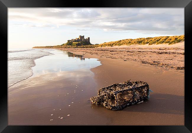 Washed up at Bamburgh Framed Print by Northeast Images