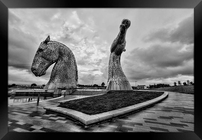 Kelpies Framed Print by Northeast Images